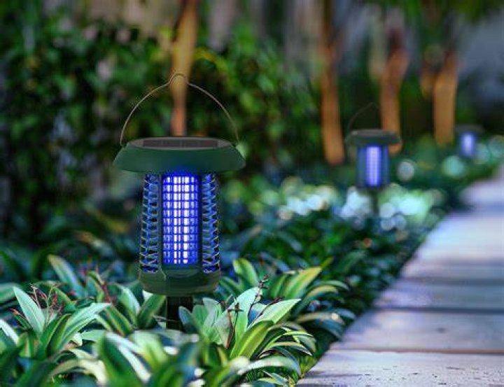 Do solar mosquito zappers work?